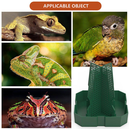Reptile Anti Escape Feeding Basin Self Catch Feeder for Lizard Snake Pet Care