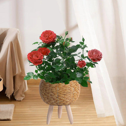 Indoor Rattan Trellis Planter Tabletop Plant Container Straw Planter for Home