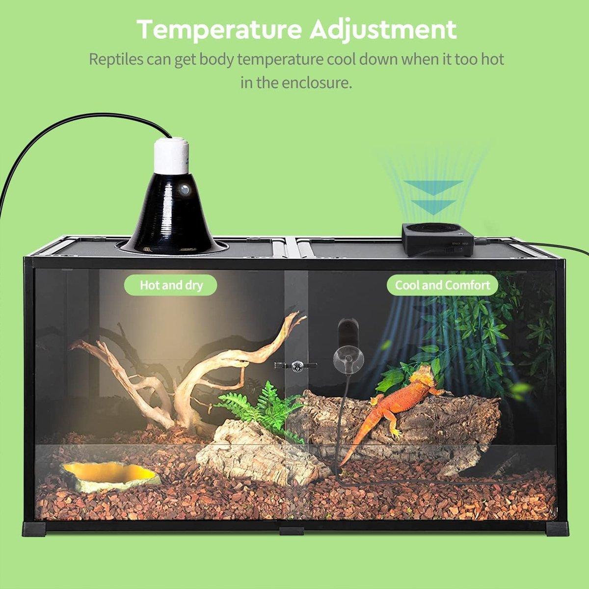 Beautiful view of Automatic Reptile Temperature Controller