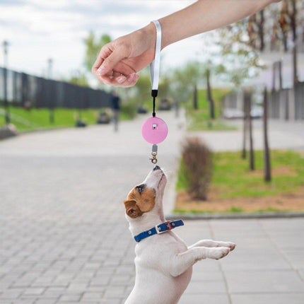 2M Outdoor Mini Retractable Leash Traction Rope Cats Dogs Durable