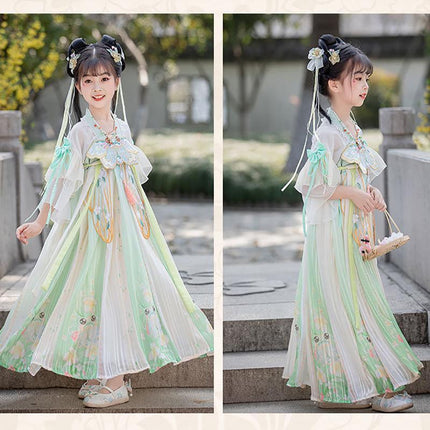 Girl Ancient Hanfu Embroidered Tang Suit Chinese Traditional Dress Princess - Aimall