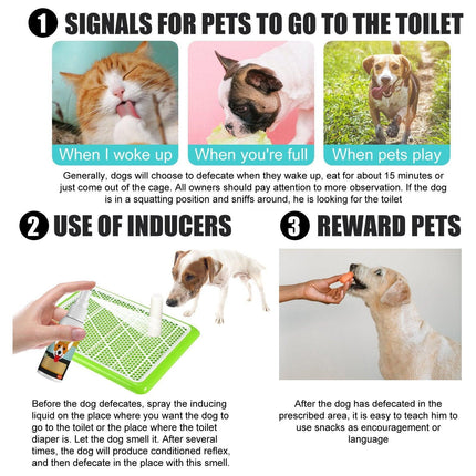 Pet Toilet Training Spray Inducer Dog Poops Cat Pee Urine Positioning Defecation - Aimall
