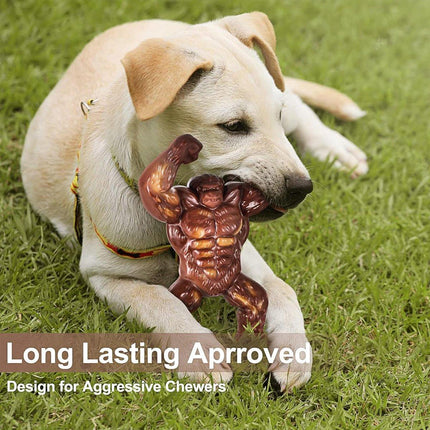 Durable Dog Chew Toy for Teething Nylon Bone Relieves Anxiety Teeth Cleaning Aid