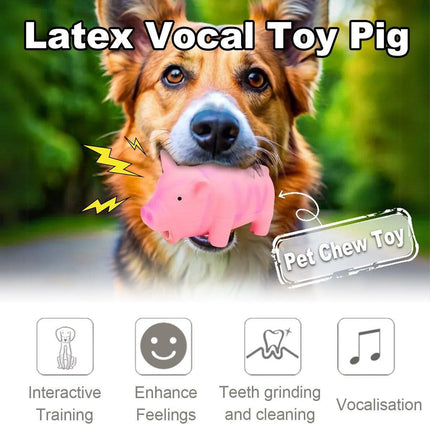 Bite Resistant Latex Pig Dog Toy Sounding Pet Chew Toy for Teething Puppies