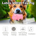 Bite Resistant Latex Pig Dog Toy Sounding Pet Chew Toy for Teething Puppies