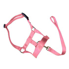 Pink Dog Training Head Collar Halter Stop Pulling Training Tool Harness Strap Leader - Aimall
