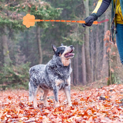 2pcs Dog Training Sticks for Dogs Pet Supplies Trainer Tools Canine Training