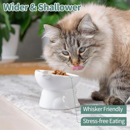 Ceramic Cat Bowl Cute Tall Raised Cat Food Bowl for Pets Eating Comfortably