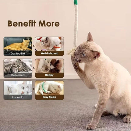 Durable Interactive Chew Rope Toy for Cats Kittens Pet Teeth Cleaning Play Toy