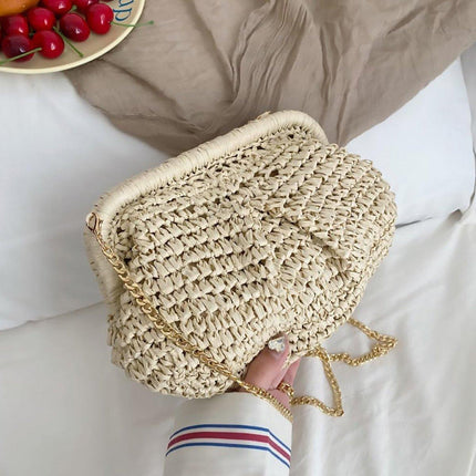 Woven Women Clutch Purse Dumpling Straw Tote Bag Shoulder Straw Crossbody Bag