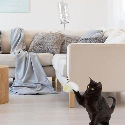 Interactive Cat Dog Toy Freeze-dried Ball Relieves Boredom Pet Intelligence Toy