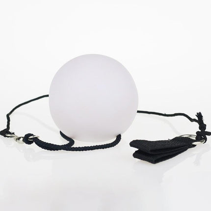 Pair of LED Poi Balls Multi Coloured Light up Ball Belly Dance Party Festival - Aimall
