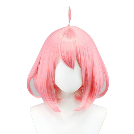 Spy House Ania Wig AU