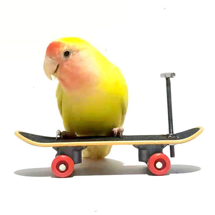 2pcs Parrot Finger Scooters Toys Interactive Parrot Play Scooter Set for Birds