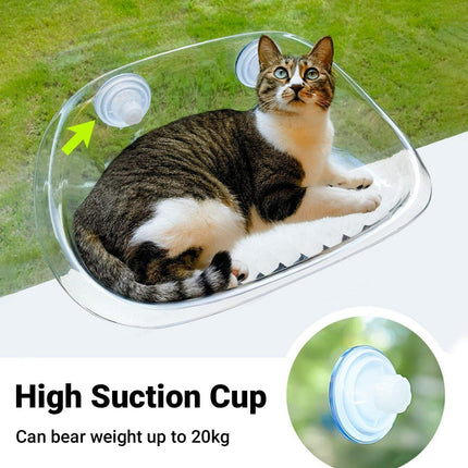 Cat Hammock Bed Glass Hanging Basket Clear Pet Nest Elevated Sleeping Bed