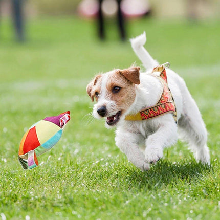 Interactive Dog Frisbee Puppy Teething Toy Pet Training Fetch Toy Outdoor