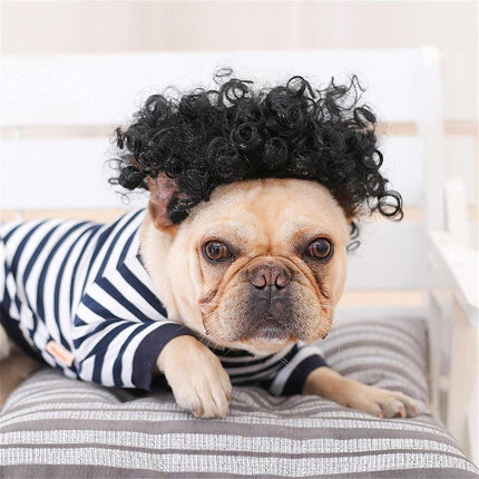 Pet Wig for Dogs and Cats Costume Accessory Pet Supplies for Halloween Parties
