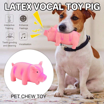 Bite Resistant Latex Pig Dog Toy Sounding Pet Chew Toy for Teething Puppies