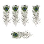 5PCS(26-30cm)