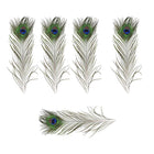 5-10PCS Natural Peacock Tail Eyes Feathers 75-80cm 26-30cm DIY Craft Vase Decor - Aimall