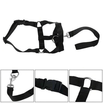 Blue Dog Training Head Collar Halter Stop Pulling Training Tool Harness Strap Leader - Aimall