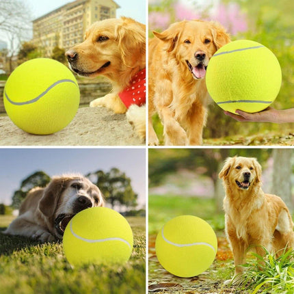 Inflatable Tennis Ball Pet Toy for Dogs Training Interactive Play Fetch Fun