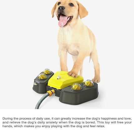 Automatic Water Feeder Dispenser with Bath Spray and Footstep Dog Toys for Pets
