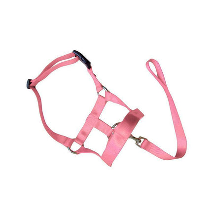Pink Dog Training Head Collar Halter Stop Pulling Training Tool Harness Strap Leader - Aimall