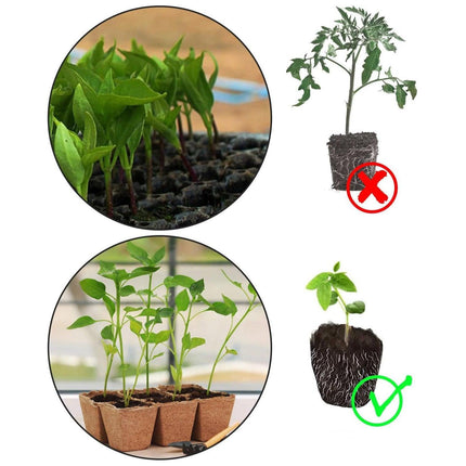100X Biodegradable Paper Seedling Pots Square Planting Cups Pot