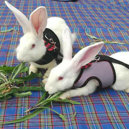 Rabbit Vest Harness Leash Lead Small Animal Pet Mesh Hamster Bunny Traction Rope L - Aimall