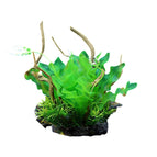 CM1903-Green