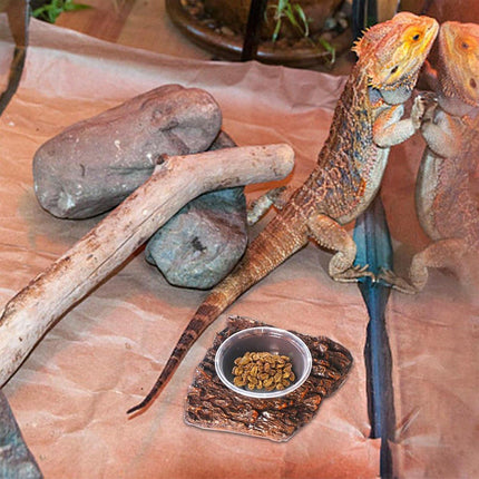 Resin Landscaping Reptiles Bowl Feeder Feeding Water Terrarium Bowls Geckos Dish