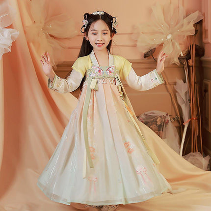 Girls Chinese Hanfu Summer Dress Embroidered Traditional Tang Suit Fairy Costume