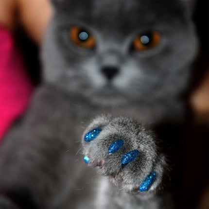 100PCS Anti Scratch Paw Covers for Cats and Kittens Nail Protector Soft Paw