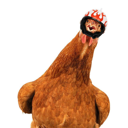 2PCS Mini Pet Chicken Helmet Protective Headgear Set Waterproof Cartoon Design