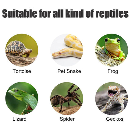 Spiral Turtle Platform Aquarium Ornament Landscape Decoration for Fish Tank