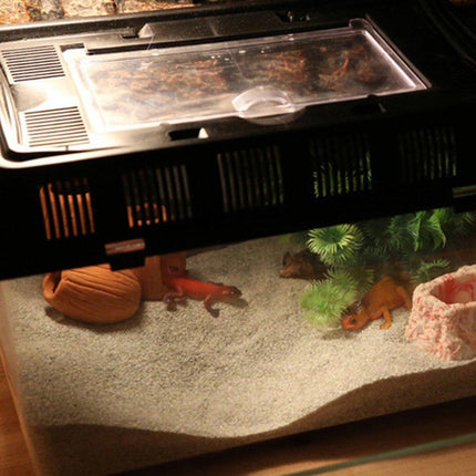 Pet Sand for Tortoises Snakes Lizards Spiders Multi-colour Reptile Habitat Decor