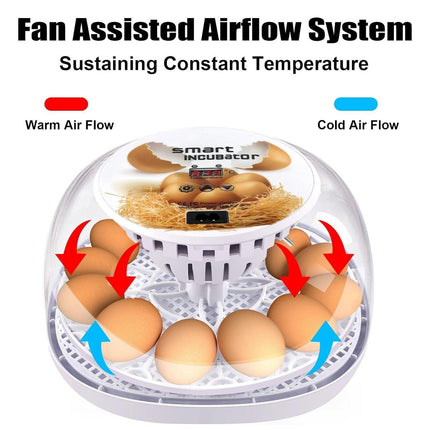 Automatic Small Egg Incubator for Chicken Pigeon Efficient Breeding Equipment