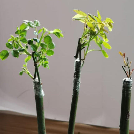 5pcs Self-Adhesive Grafted Fruit Tree Wrap Film Plastic Tape Gardening Tools