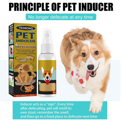Pet Toilet Training Spray Inducer Dog Poops Cat Pee Urine Positioning Defecation - Aimall
