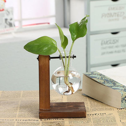 Wooden Stand Glass Flower Vase Hydroponic Hanging Plant Terrarium Container - Aimall