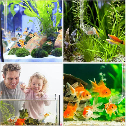 Aquarium Feeding Tube Multifunctional Fish Tank Floating Feeding Ring Shrimp Feeder - Aimall