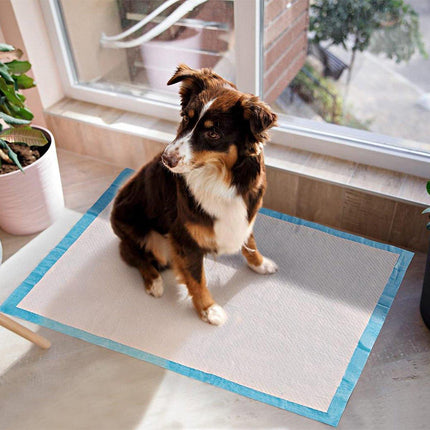 Large Puppy Dog Training Pads Pet Toilet Thickened Pee Pads Mat Indoor Absorbent - Aimall