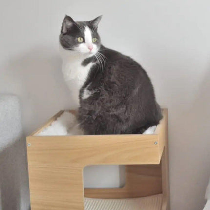 Double Layer Cat Climbing Shelf Multi-Level Cat Hutch Pet Furniture for Cats