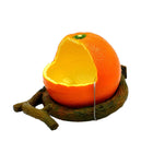 Parrot Feeding Bowl Fruit Shaped Water Food Container Dish Cage Bird Feeder Cup - Aimall