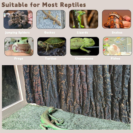 3D Reptile Box Background Plate Rock Stereoscopic Aquascape Tank Decoration