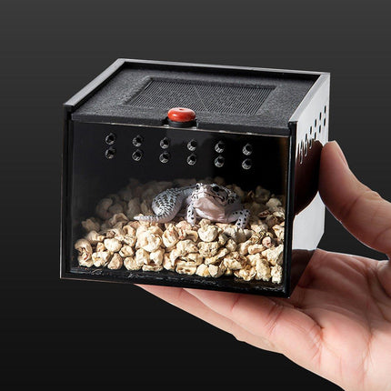  Lizard Reptile Breeding Box