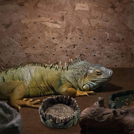 Reptile Drinking Basin Resin Turtle Snake Lizard Feeding Dish Bowl Water Feeder