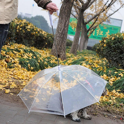 Pet Dog Transparent Umbrella 30 inch Diameter With Dog Leash For Rain Walking Outdoor