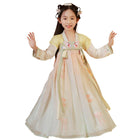 Girls Chinese Hanfu Summer Dress Embroidered Traditional Tang Suit Fairy Costume